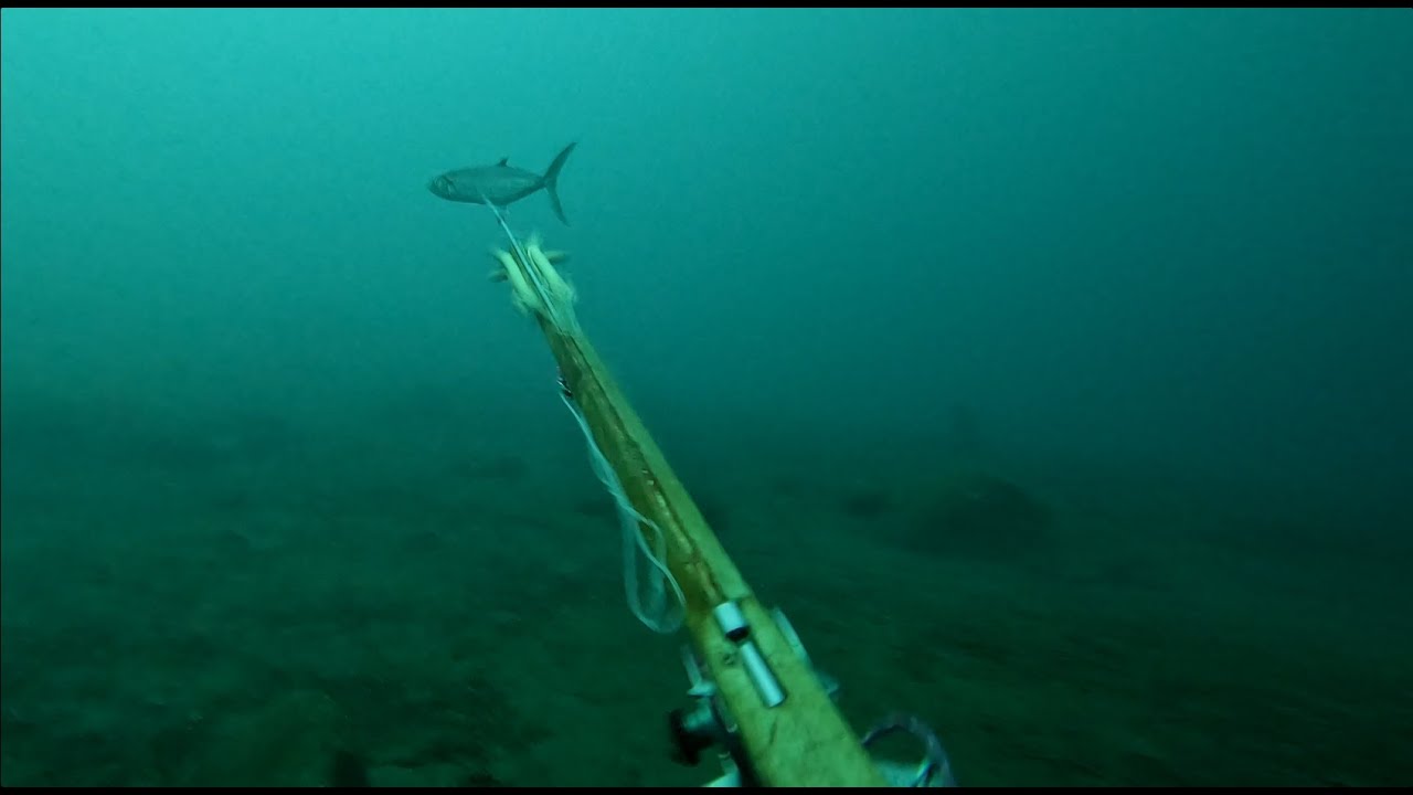 Pêche Sous-Marine Guadeloupe Août 2025