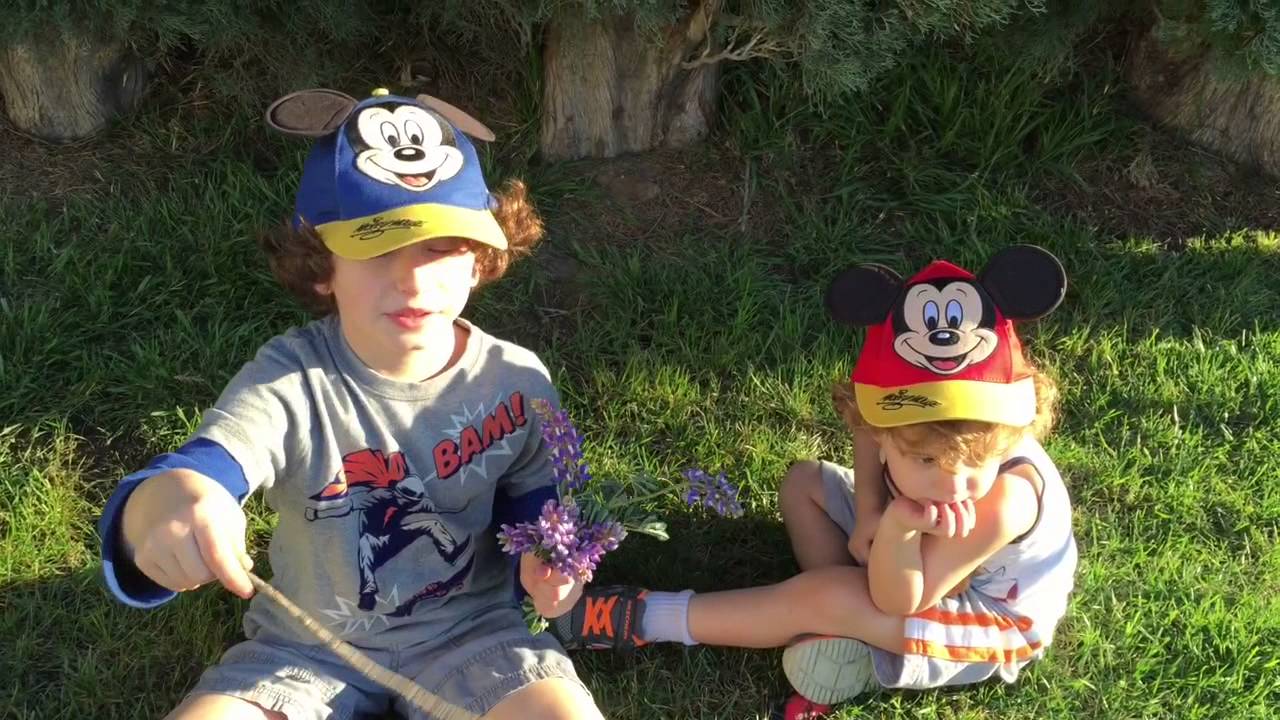 August and Ocean go on a Hike