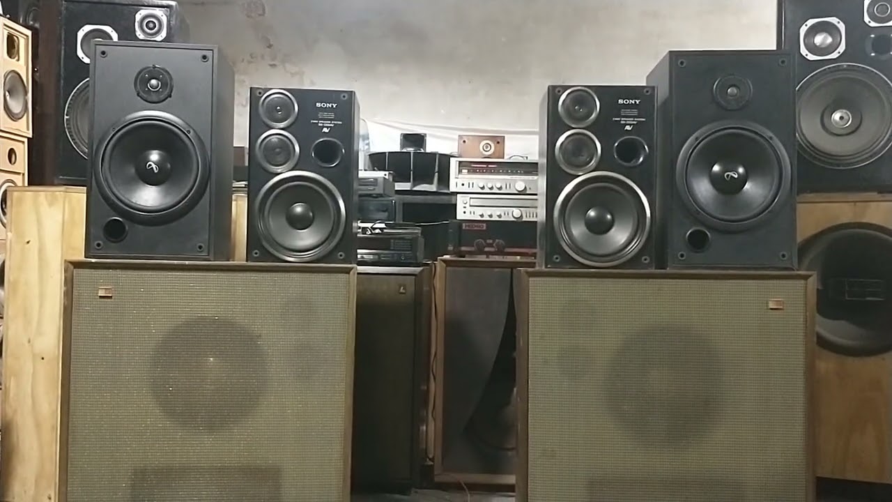 Bafles Sony SS- D55AV....