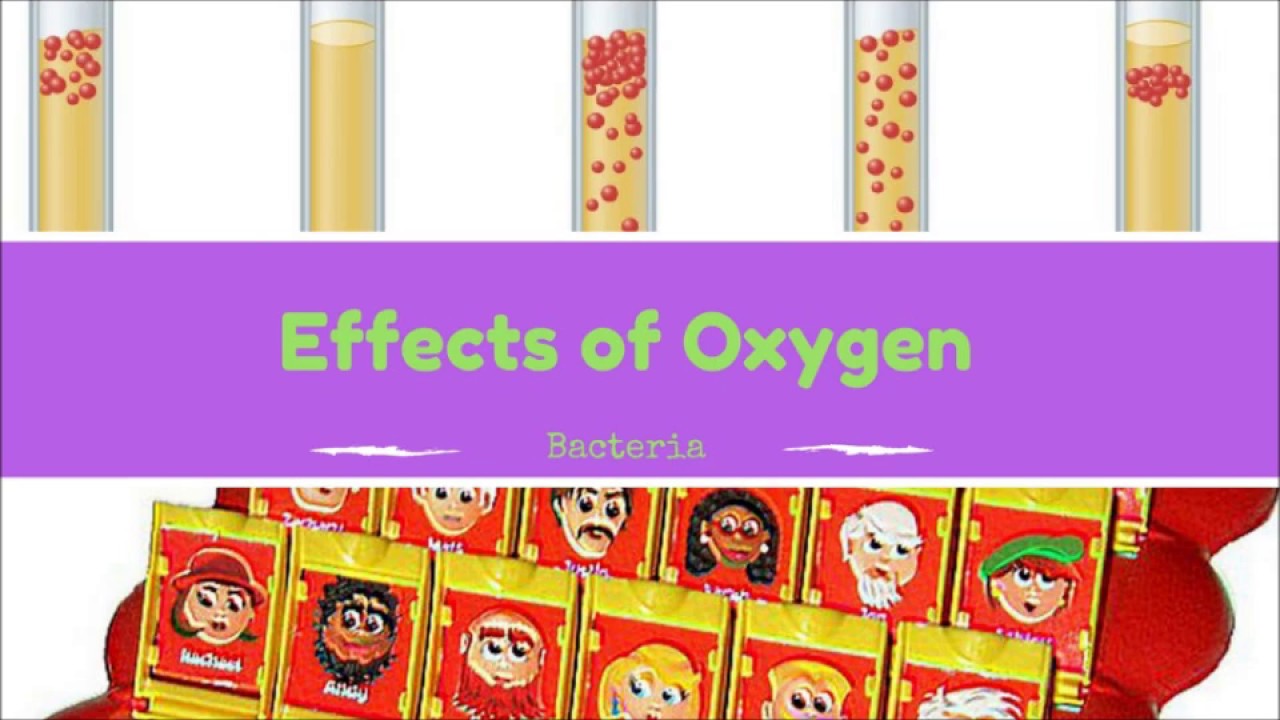 Effects of Oxygen on Bacteria: Microbiology