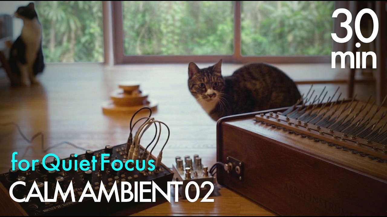 30min CALM AMBIENT_02 | for QUIET FOCUS