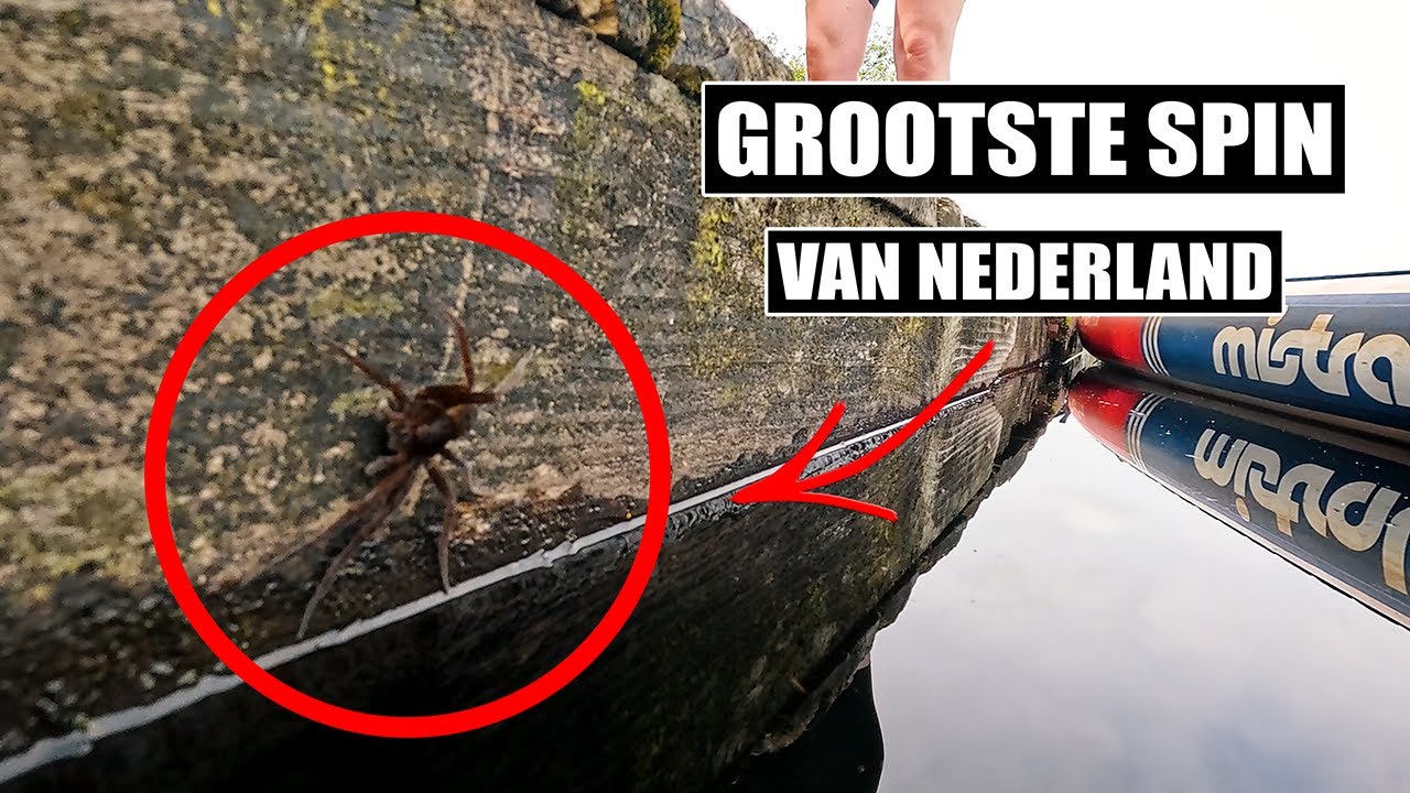 Je hoeft niet bang te zijn...