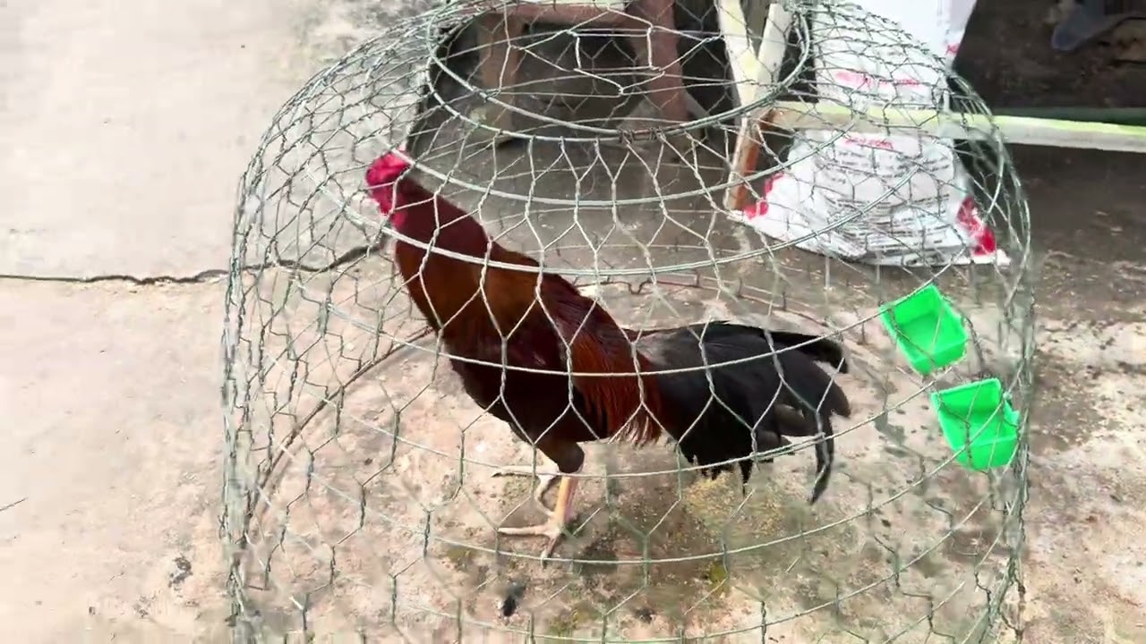 0794999985