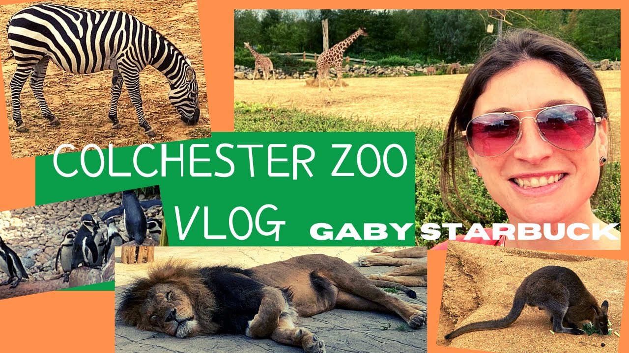 COLCHESTER ZOO 2020 FIRST VISIT | ZOO VISIT | TOURIST ATTRACTION | ZOO TRIP |  EXTRODINARY ANIMALS