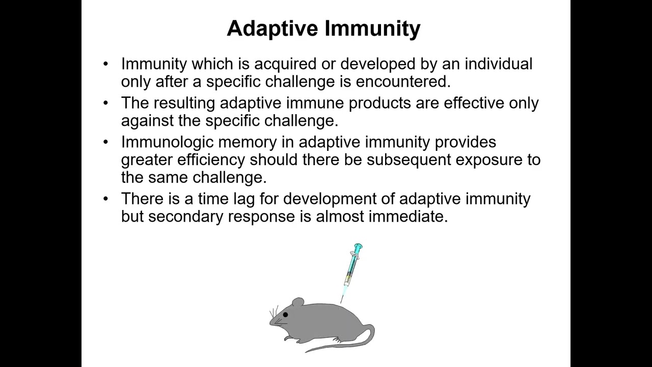 Basics of Immunology and vaccination
