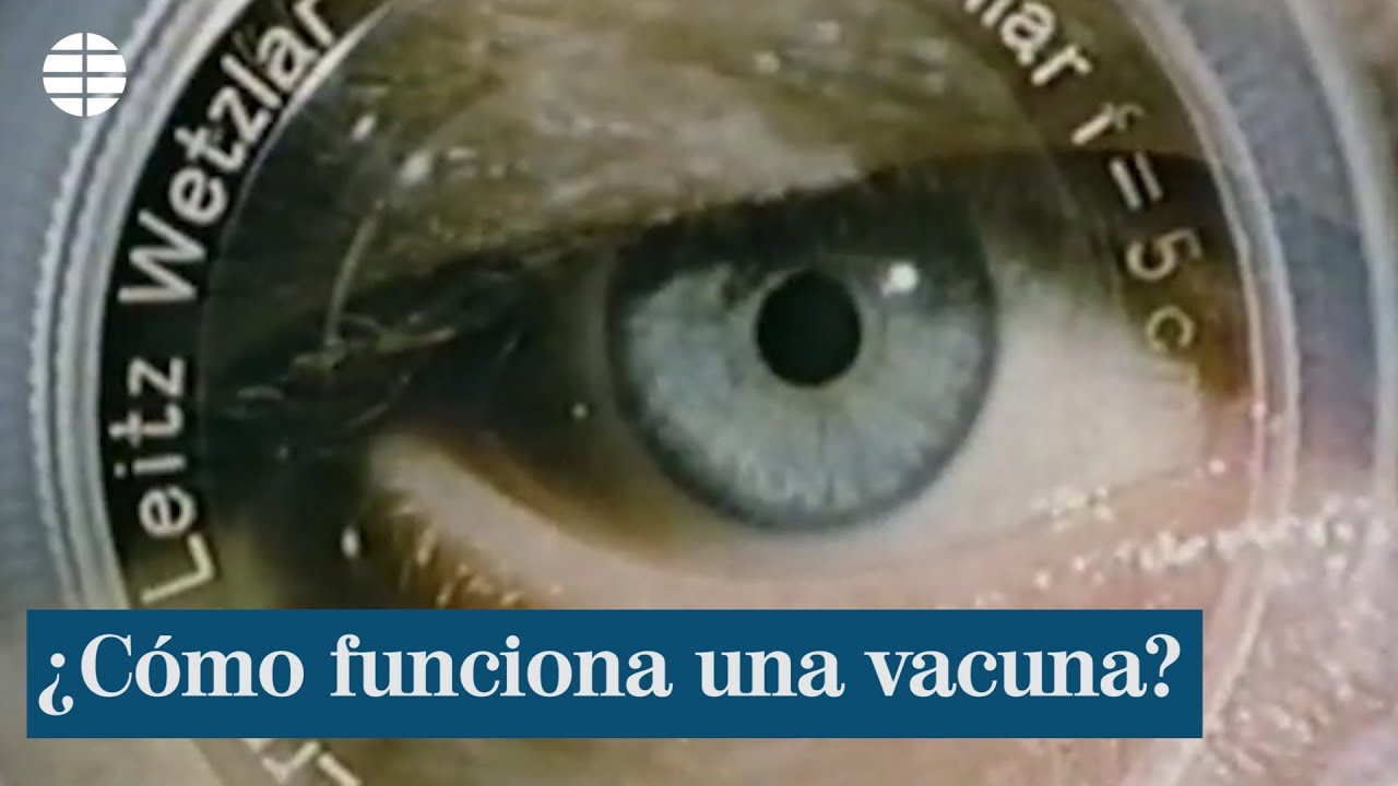 ¿Cómo funciona una vacuna?