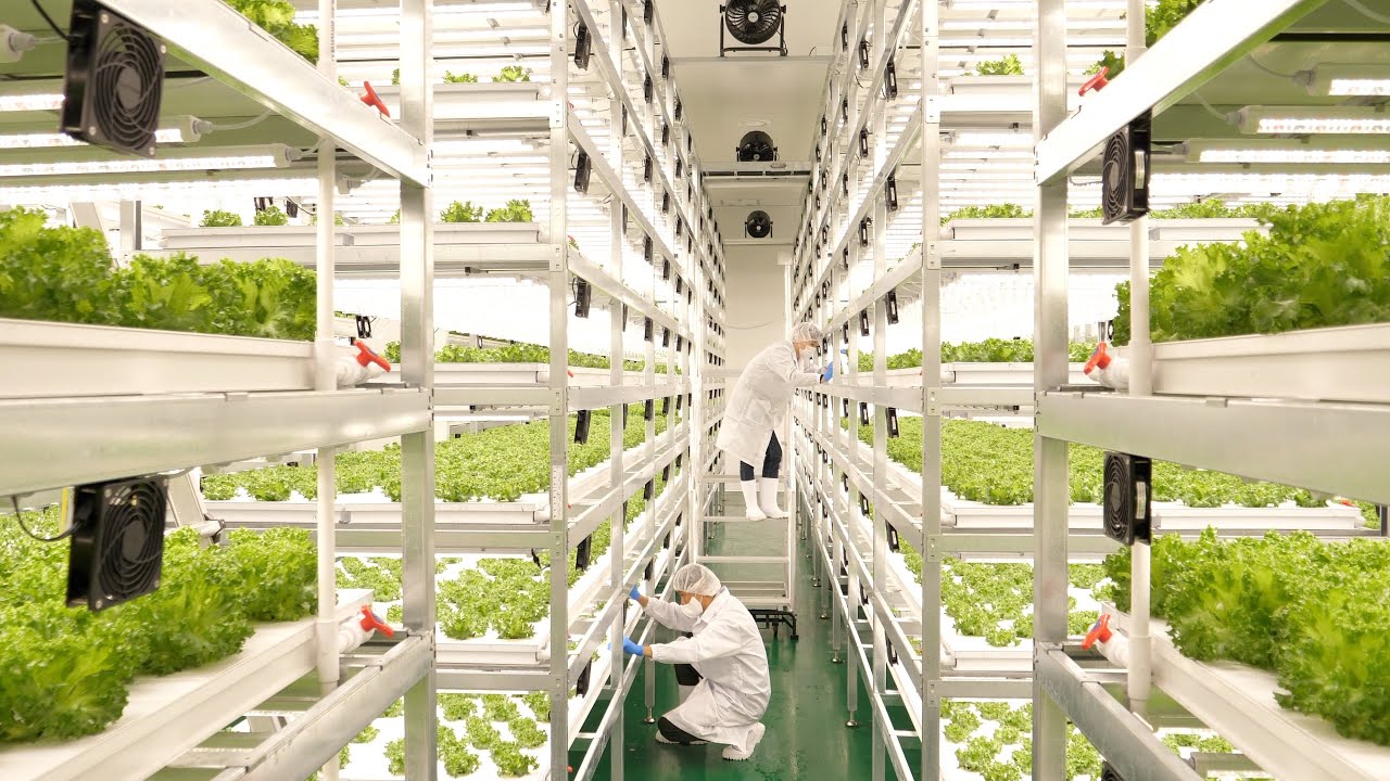 Корейские инженеры, создающие сложную продукцию с использованием передовых технологий.