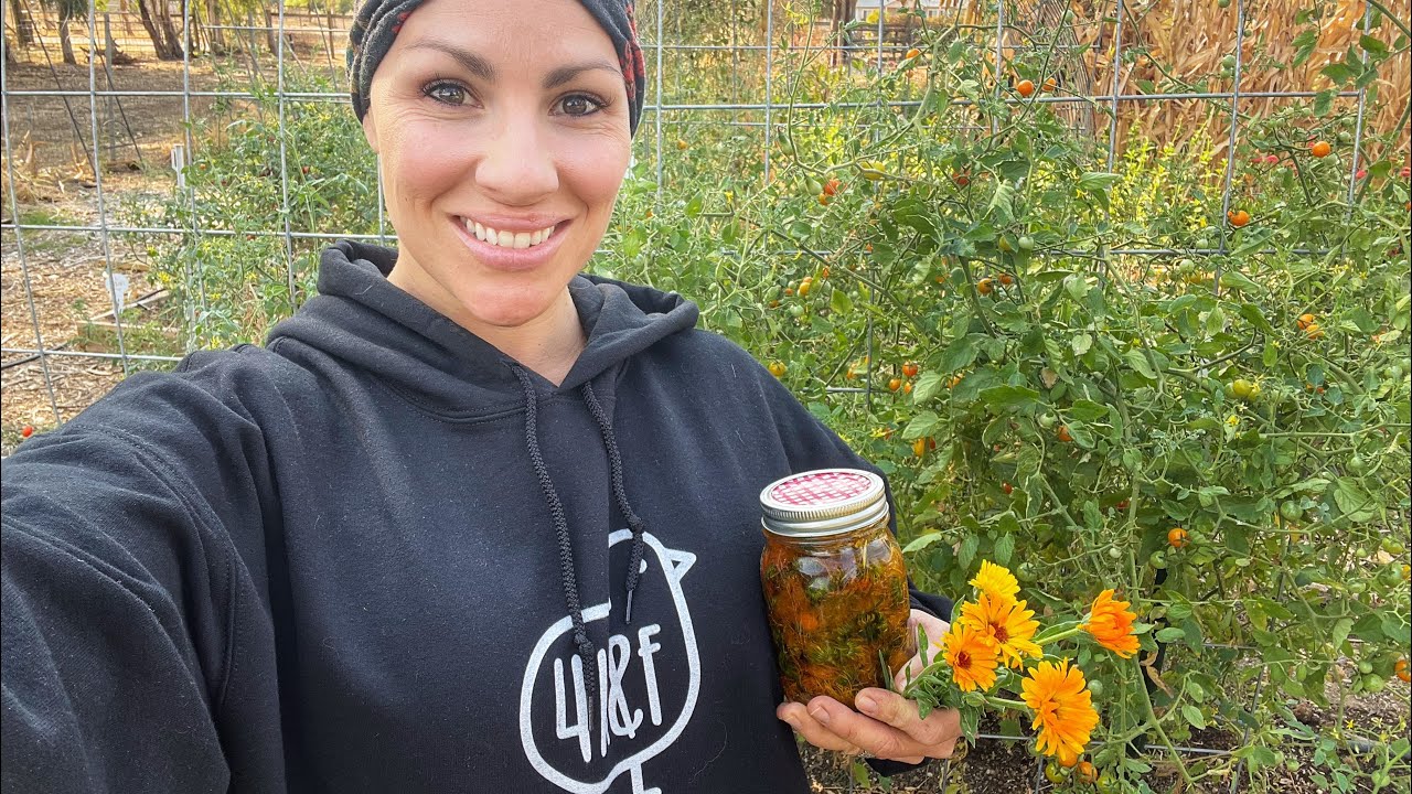 Calendula: From Seed, To Flower, To Salve. 🌼
