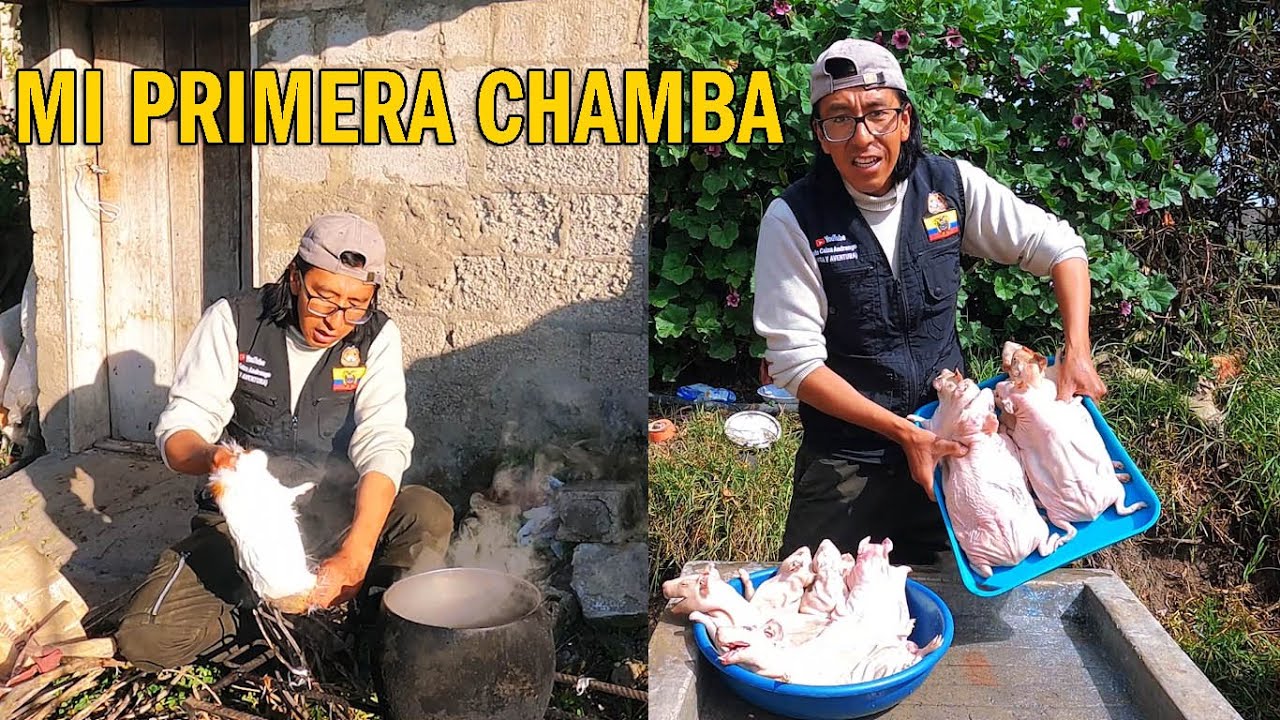 VENTA DE CUYES PELADOS