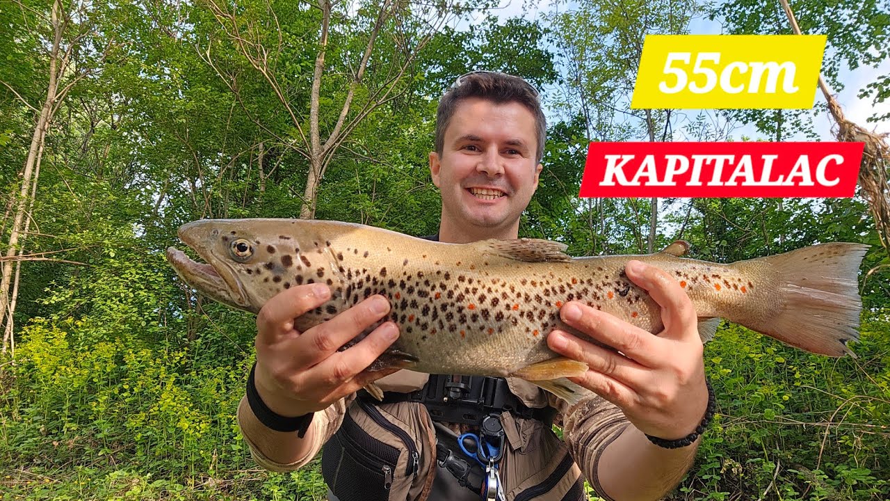 Kakav TROFEJ! Pecanje PASTRMKE, rijeka Vrbas!