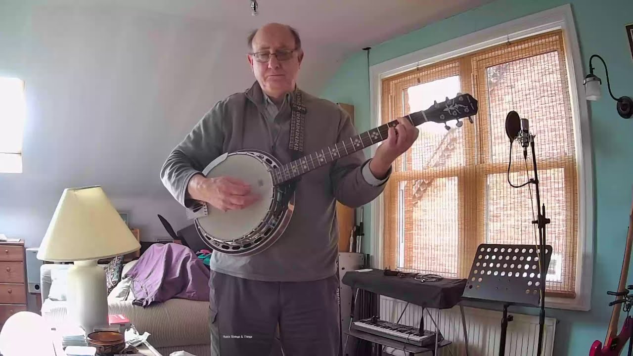 Harley Benton 6-String Banjo (Model BJ-65Pro). Review and recommendations.
