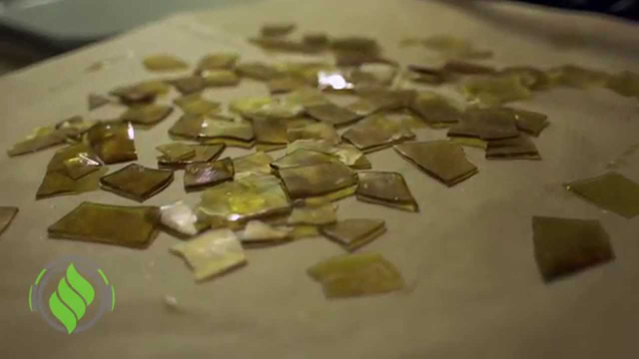 Native Roots Extracts