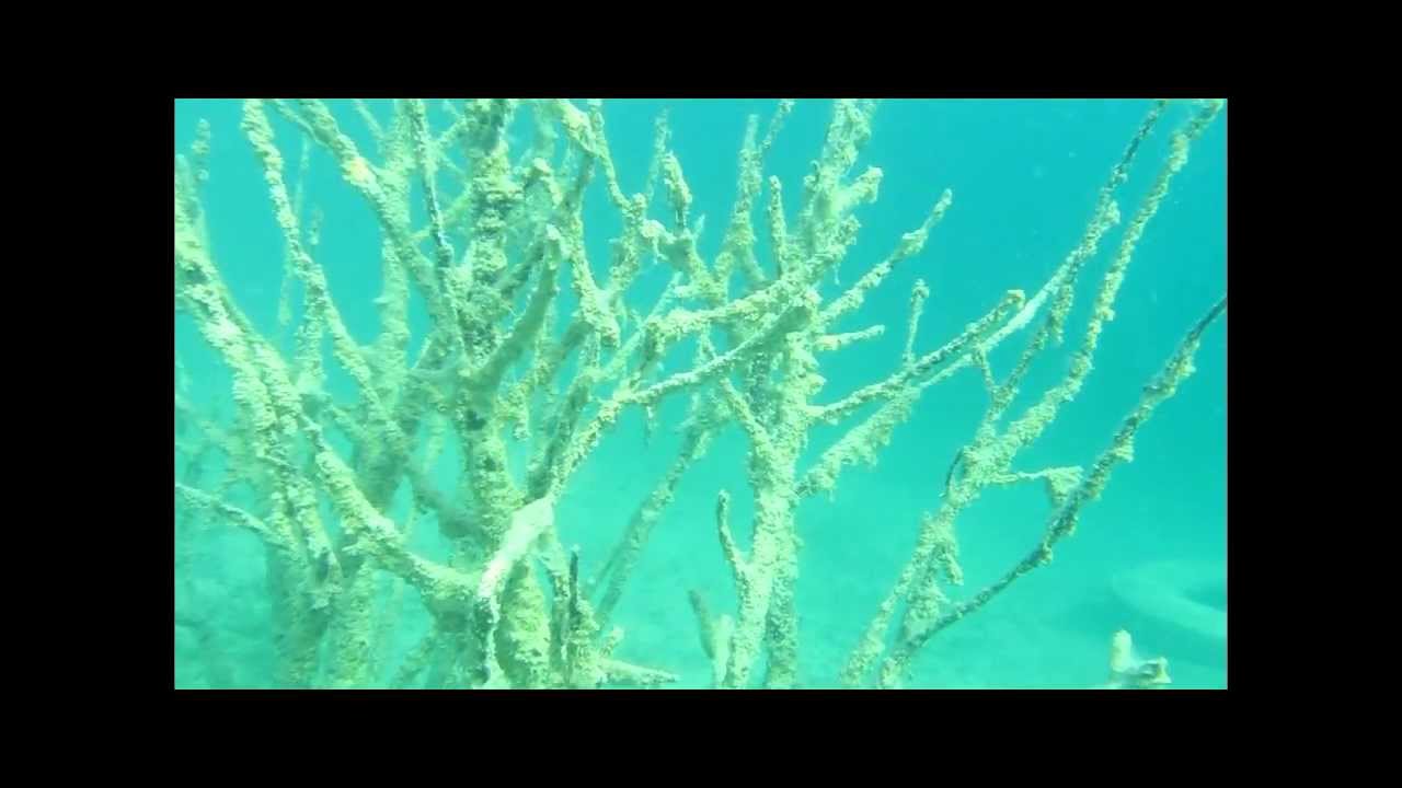 Kamieniołom Piechcin HD