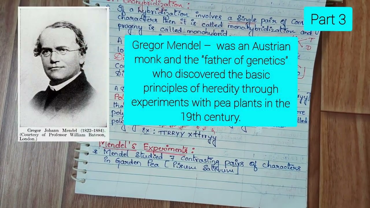 Genetics | Hybridization | Types of Hybridization 