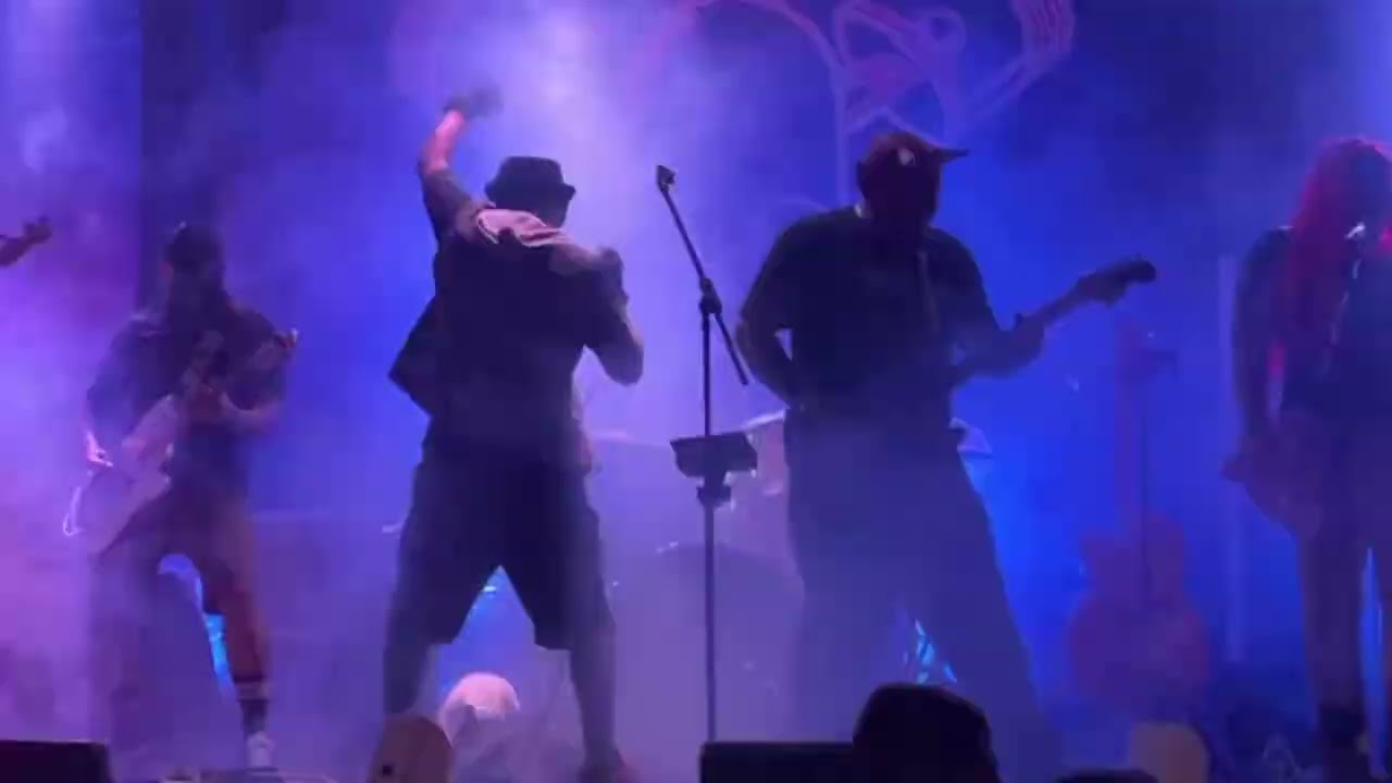 Los Tiburones- Entomatada song 