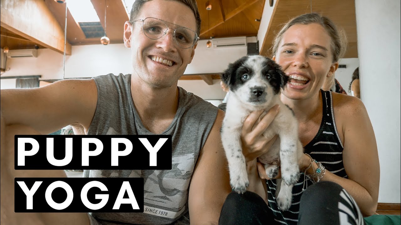PUPPY YOGA in BALI | Bali Animal Welfare Association | BALI VLOG #060