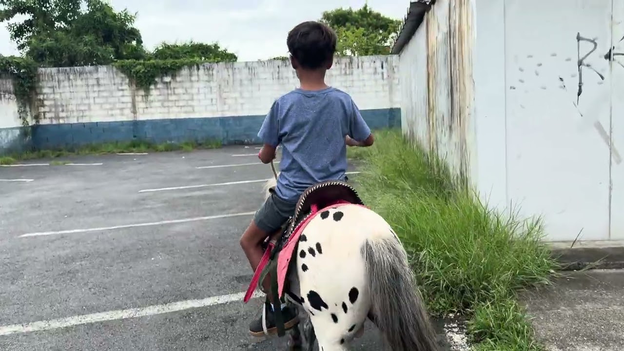 Cavaleiros do Guarujá 