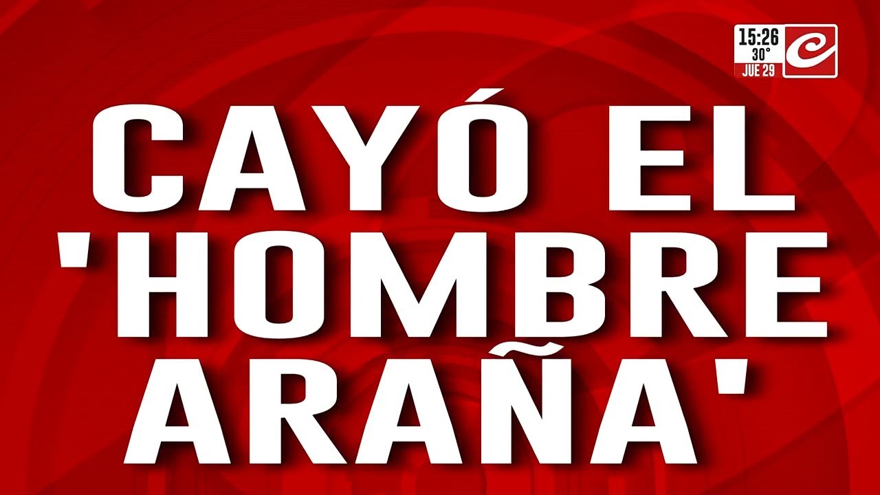 Cayó 