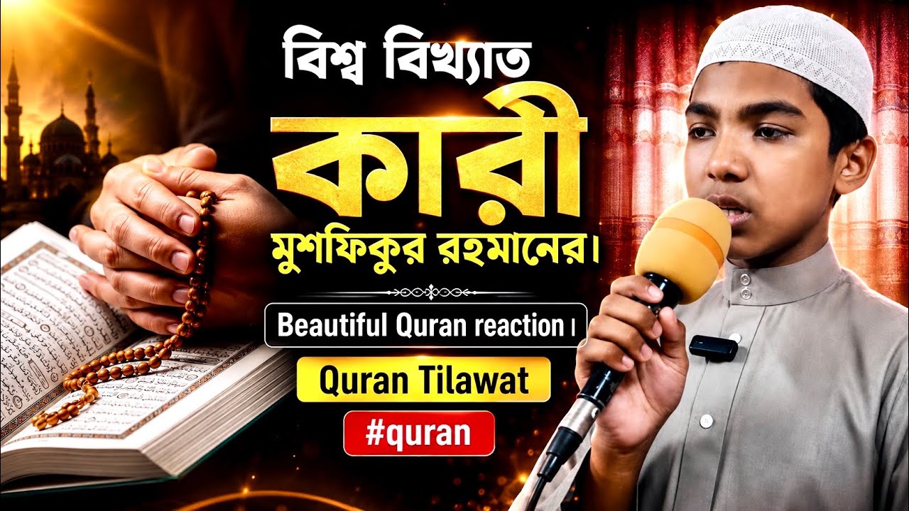 বিশ্ব বিখ্যাত কারী মুশফিকুর রহমানের।Beautiful Quran reaction।Quran Tilawat #quran