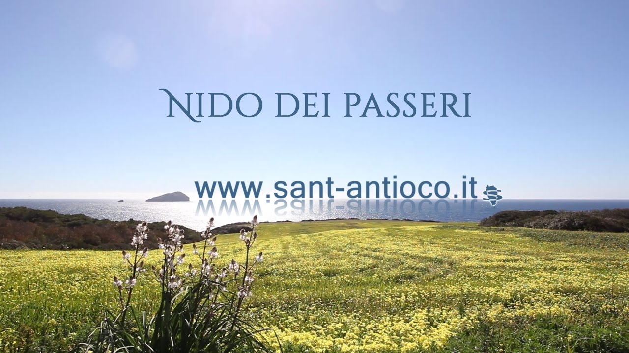 Nido dei passeri - Calasetta - Sant-antioco.it