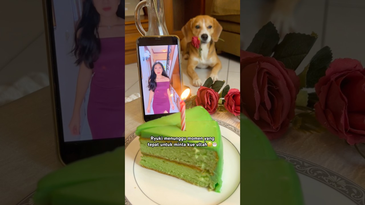 BUAT VIDEO ULANG TAHUN BARENG RYUKI🎂🥰 #shorts #anjinglucu