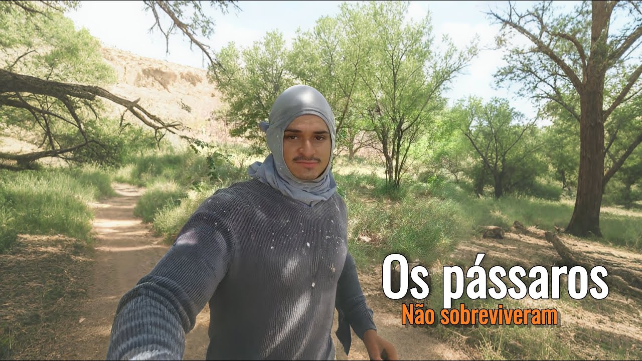 VOLTEI NO LUGAR ONDE EU SOLTEI OS PASSARINHO E NÃO ENCONTREI MAS COMIDA E TIMHA MUITAS PENA NO CHÃO