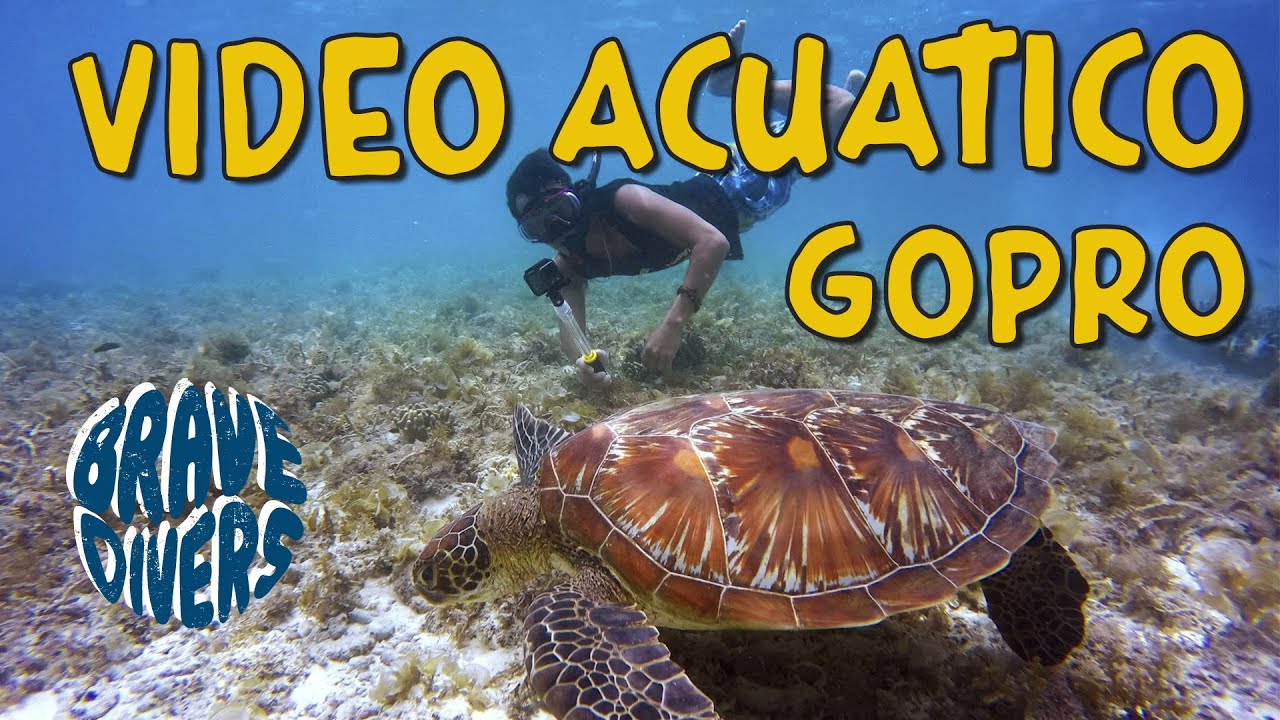 🎥 Curso V&Iacute;DEO SUBMARINO 🌊 con GoPro by V&iacute;ctor de Valles