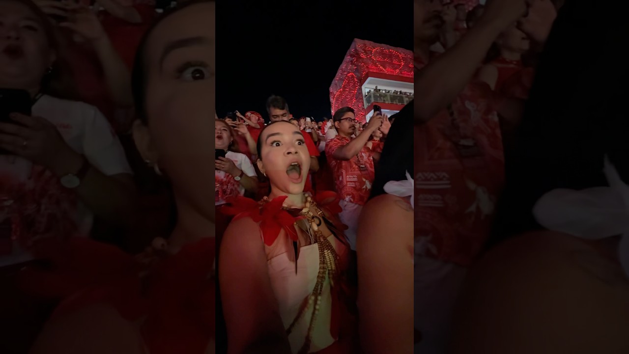 Quanto GASTEI para ir ao FESTIVAL DE PARINTINS 2025?