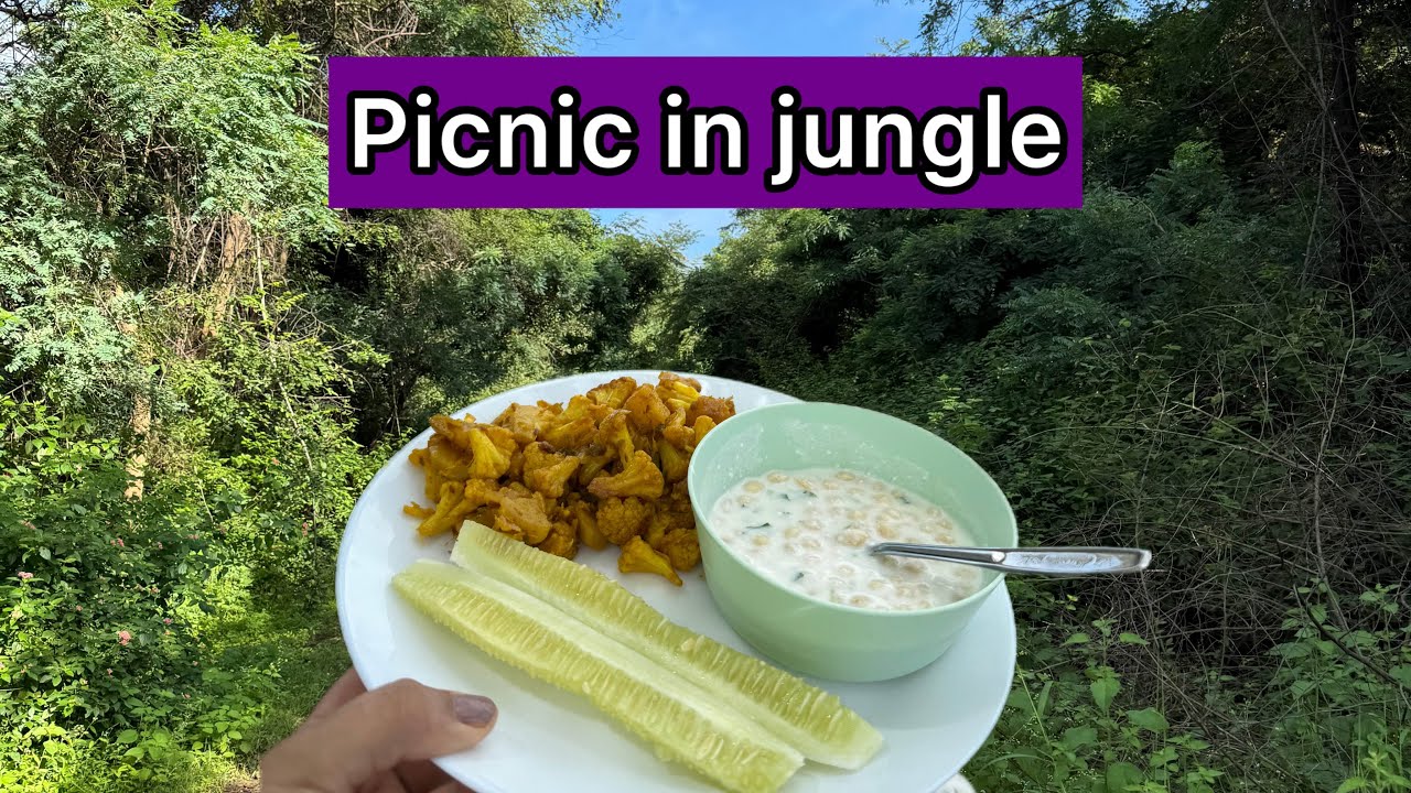 Fun Family Picnic at Anantagiri Hills Hyderabad | Perfect Getaway Near Hyderabad | Veena Negi