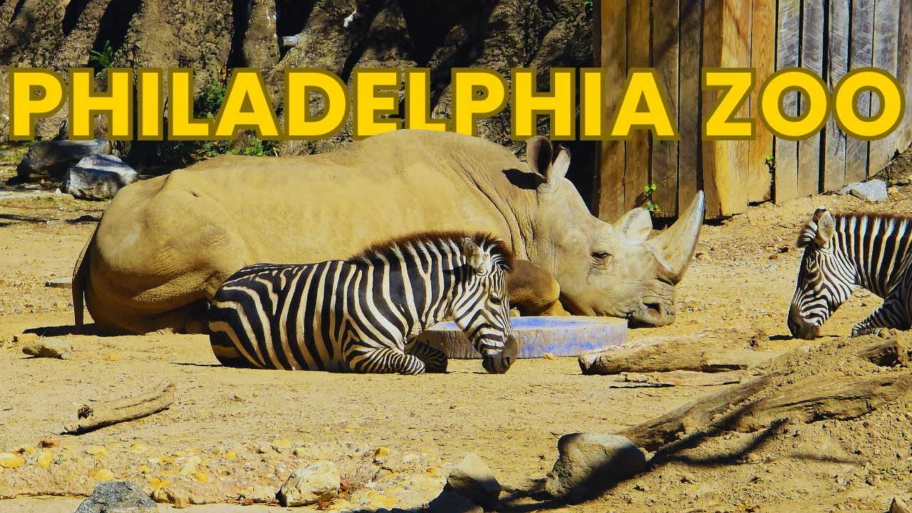 Exploring Philadelphia Zoo an ULTIMATE Full Tour 2025
