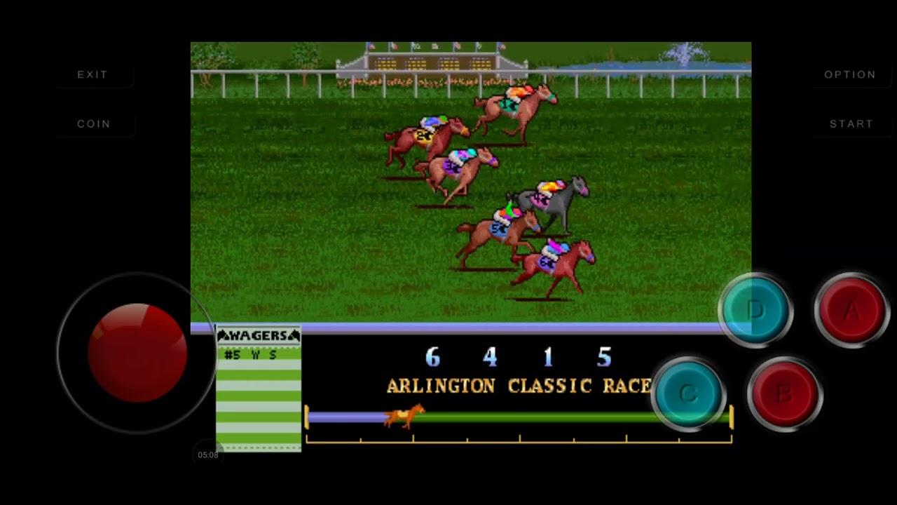 Corrida de cavalos 