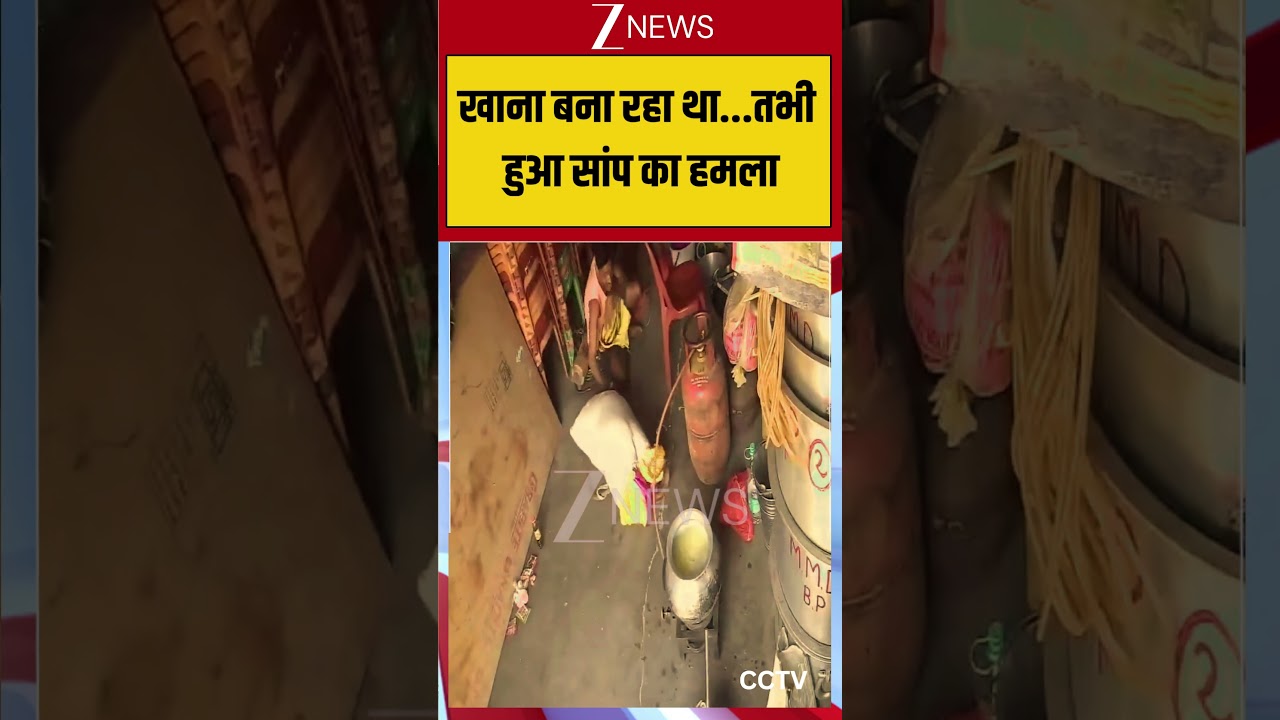 Viral Video: खाना बना रहा था...तभी हुआ सांप का हमला #viralvideo #viralshorts #viralreels #zeenews