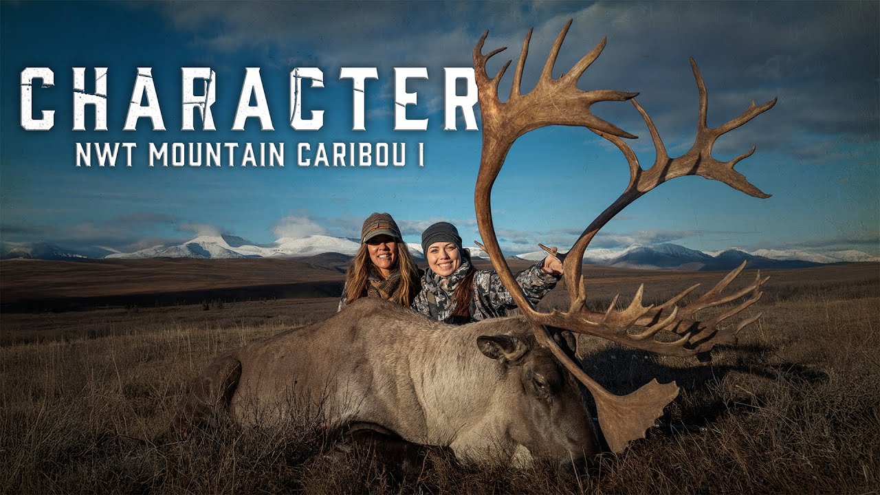 CHARACTER | NWT MOUNTAIN CARIBOU I