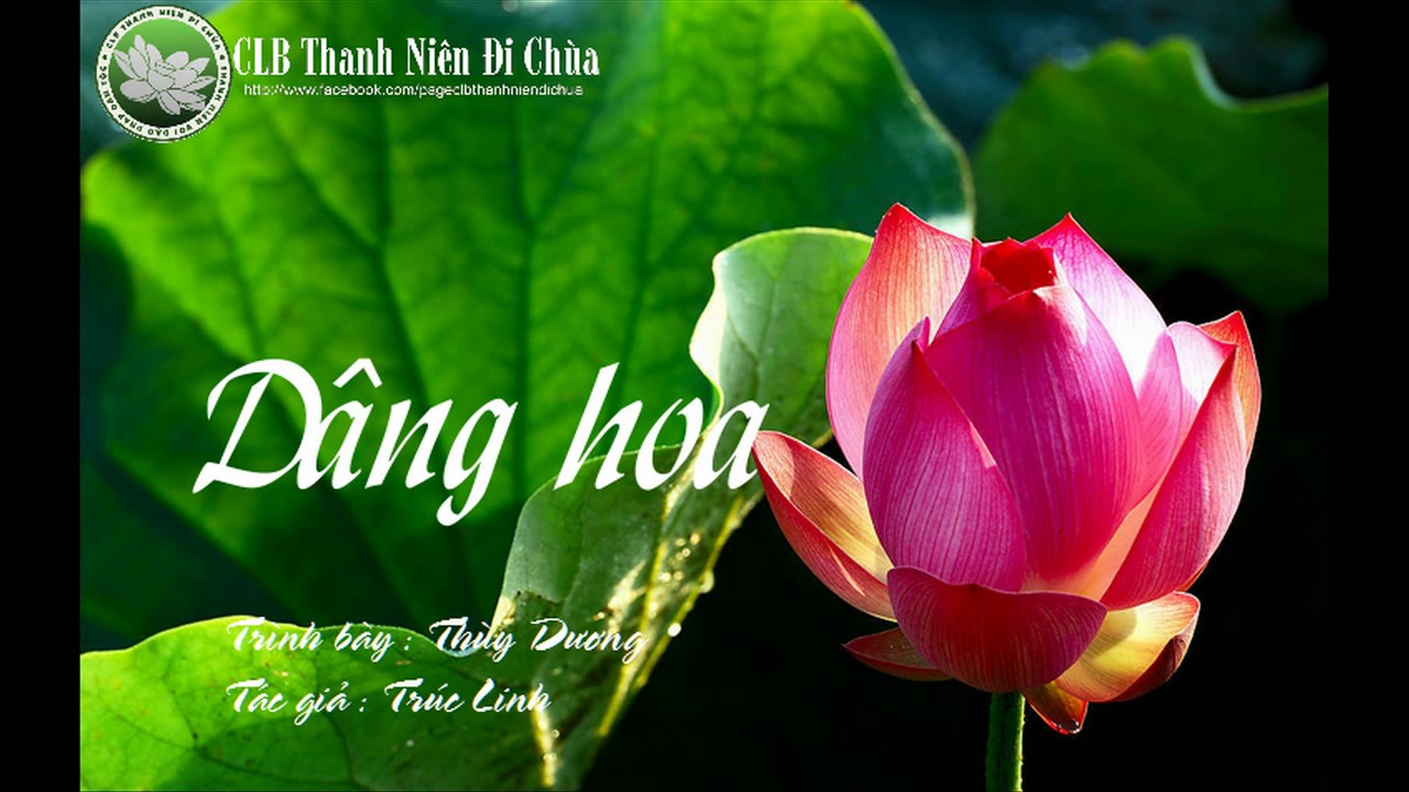 DÂNG HOA ( CON LÊN CHÙA DÂNG HOA - CON CÚNG GIƯỜNG CHƯ PHẬT )