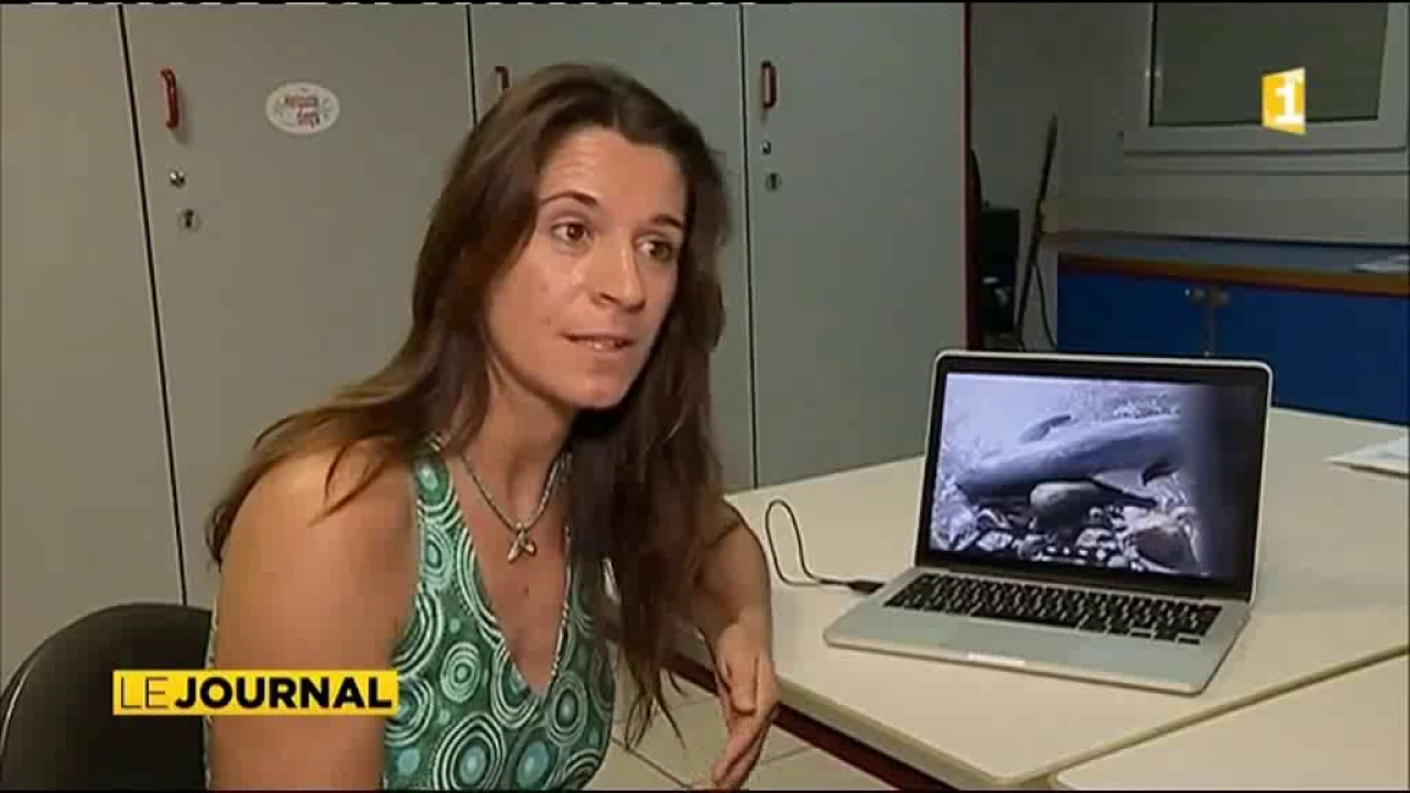 Une orque s’échoue à Hiva Oa