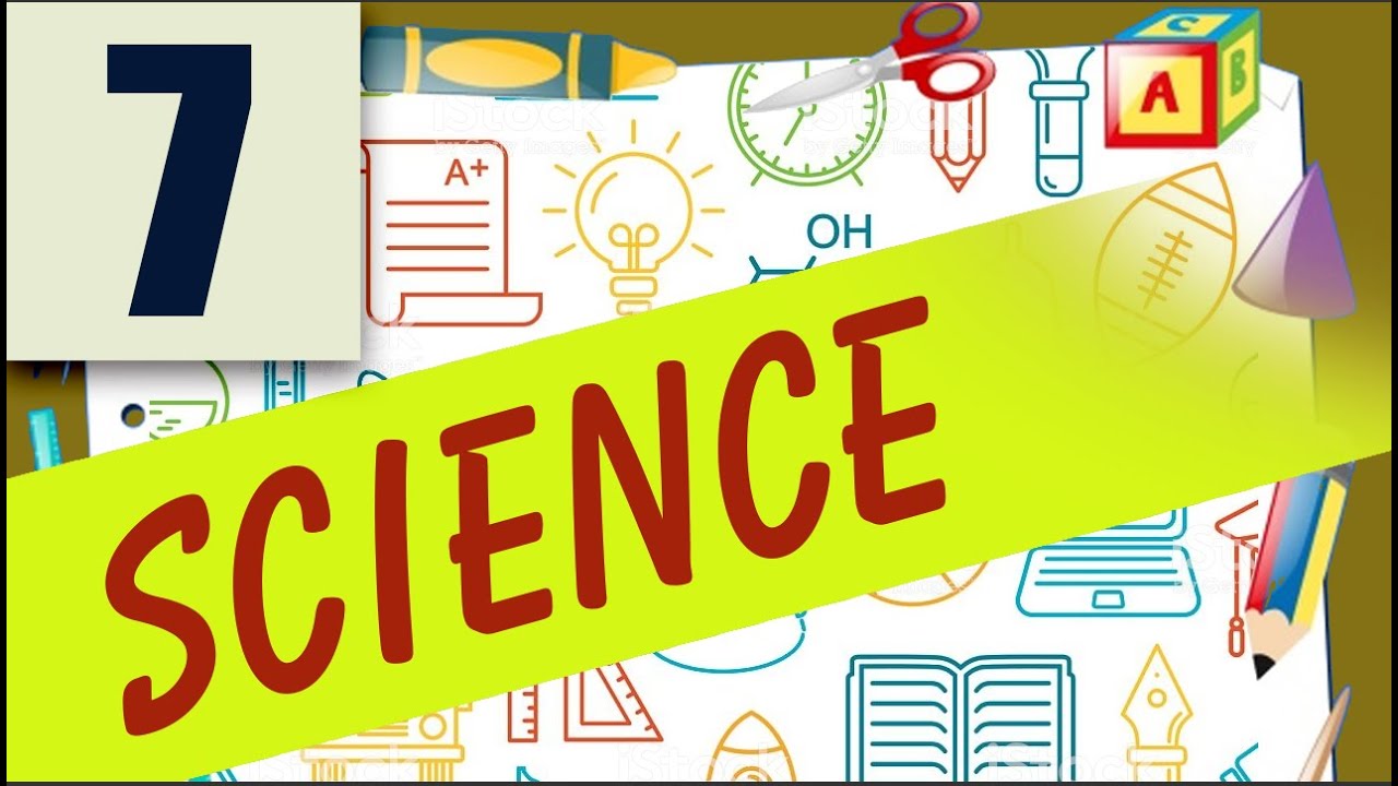 Class7 social science Revision 17 september 2020