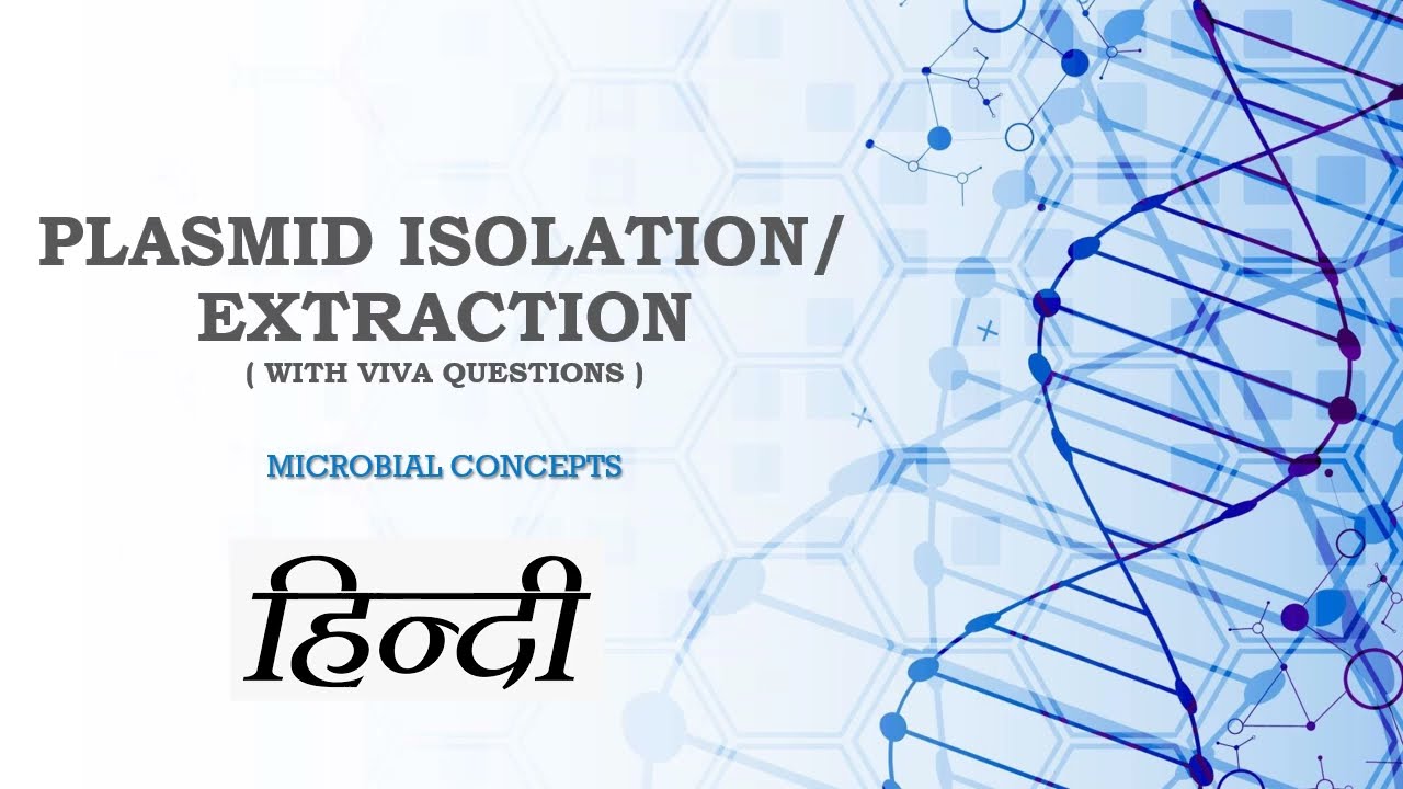 HINDI | Plasmid isolation with Viva Ques | MSc practical
