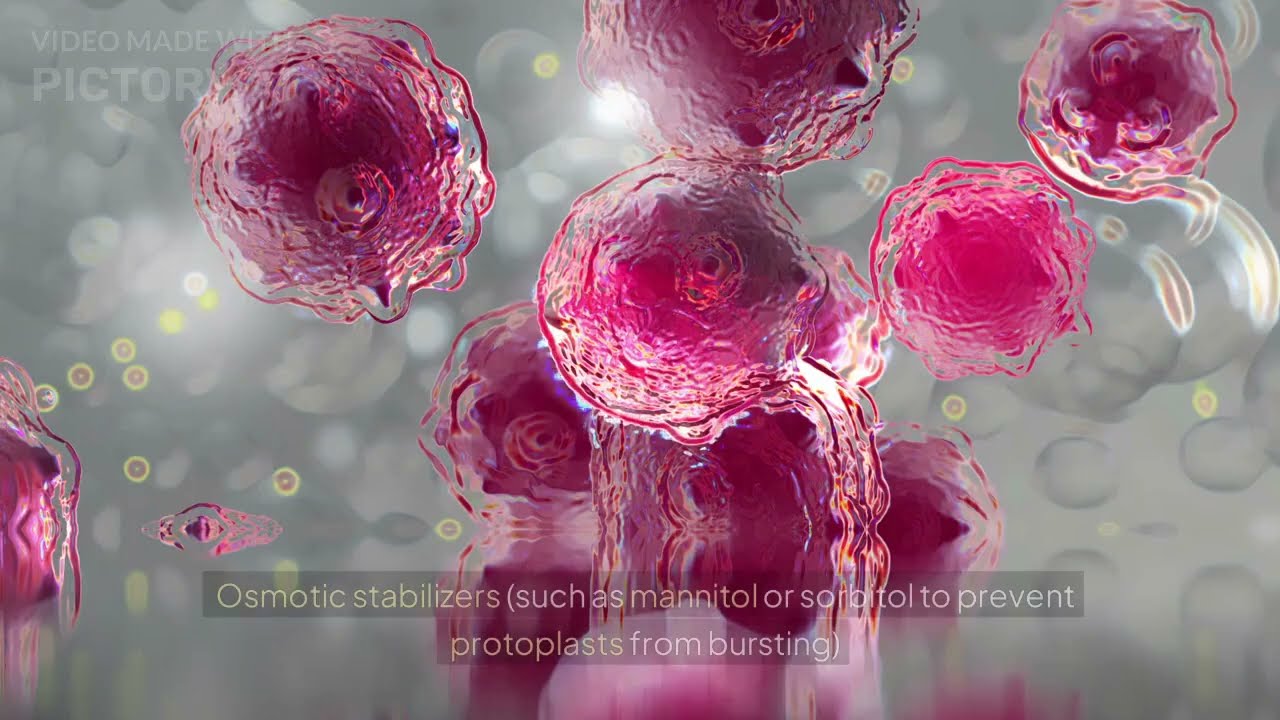Protoplast fusion using AI Technology