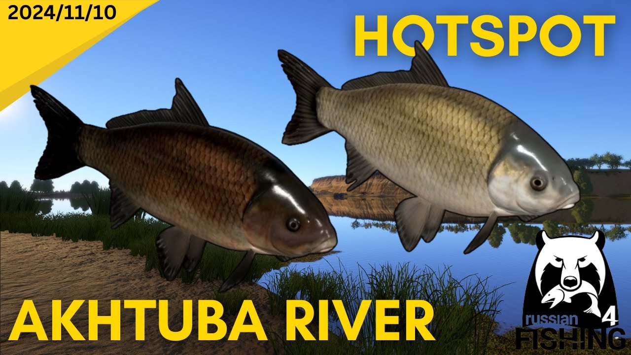 Buffalo Hotspot Akhtuba River Russian Fishing 4