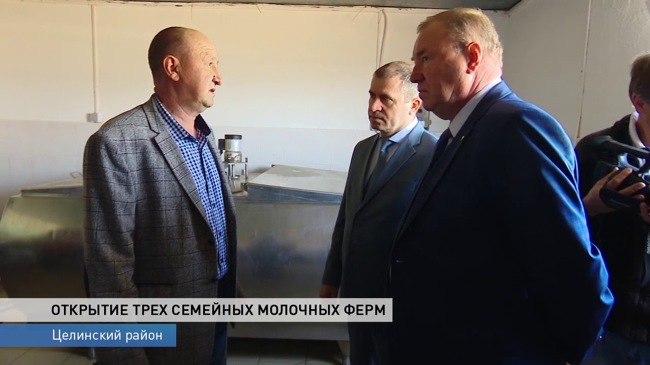 Фермеры в Целинском районе создали три семейных фермы