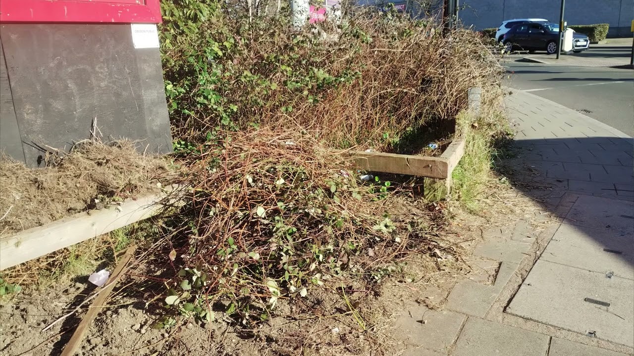 The Bell Green Community (Guerrilla) Garden