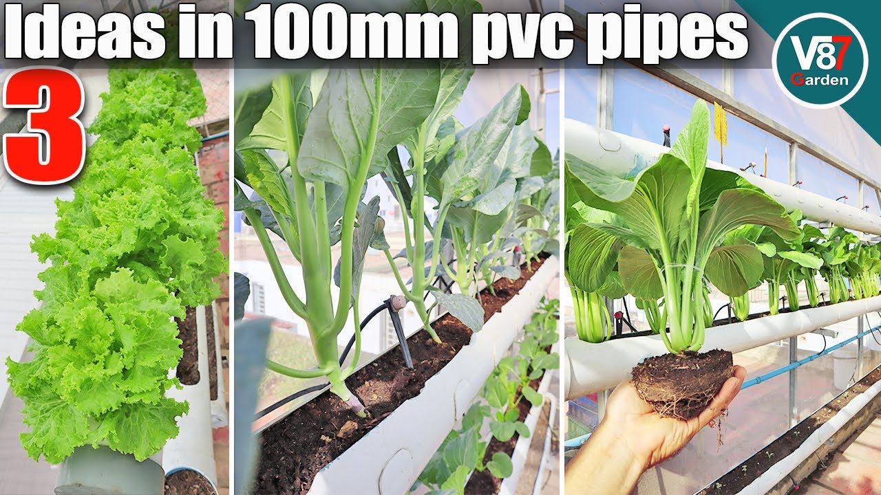 Top 3 Ideas from PVC Pipe 100mm | Harvesting Vegetables