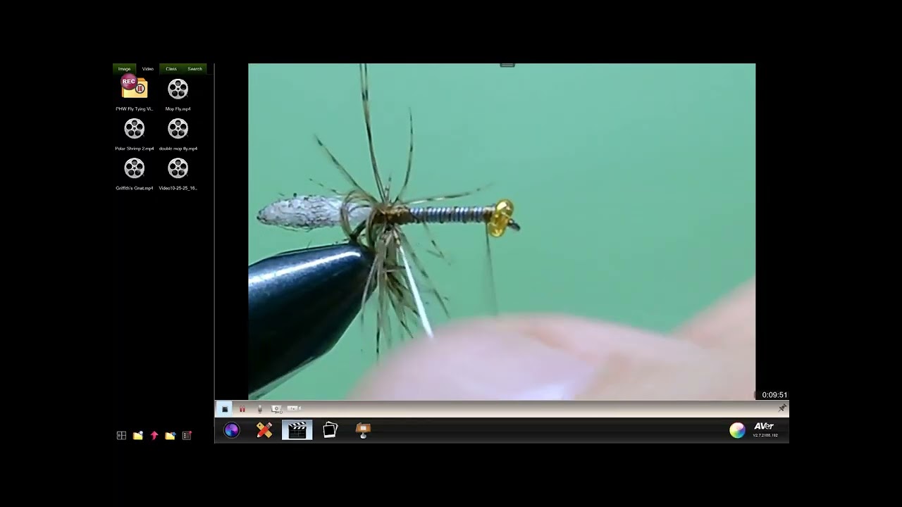 Peeping Caddis
