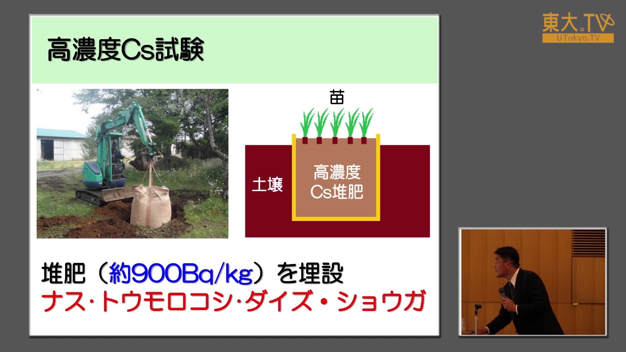 高橋友継・眞鍋昇「放射性セシウム汚染堆肥中で栽培した各種作物における放射性セシウム動態」―第8回放射能の農畜水産物等への影響についての研究報告会