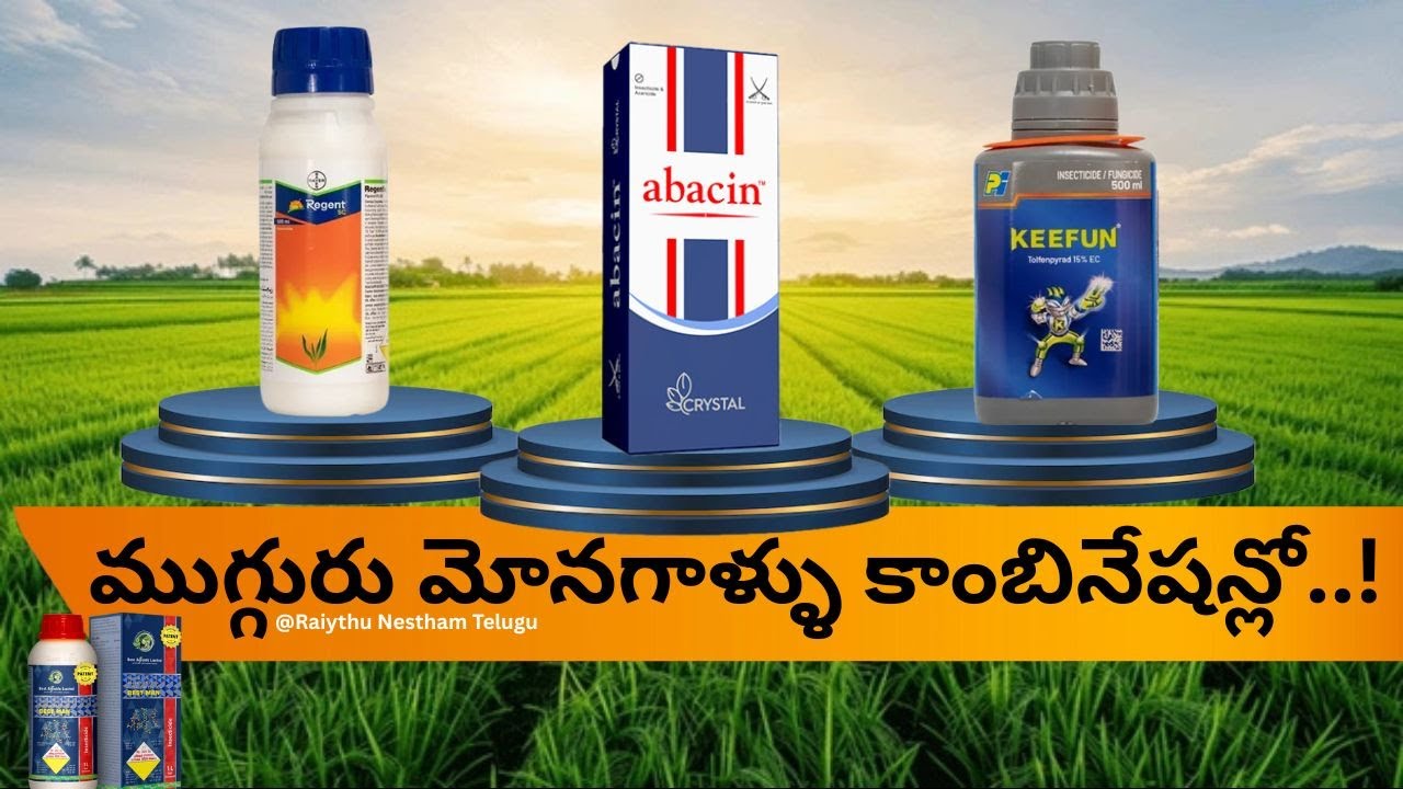 కొత్త సరుకు వచ్చేసింది.! ఒక్క సారి స్ప్రే చేస్తే త్రిపుల్ యాక్షన్.!|Best Agrolife & GNC |#rythubadi