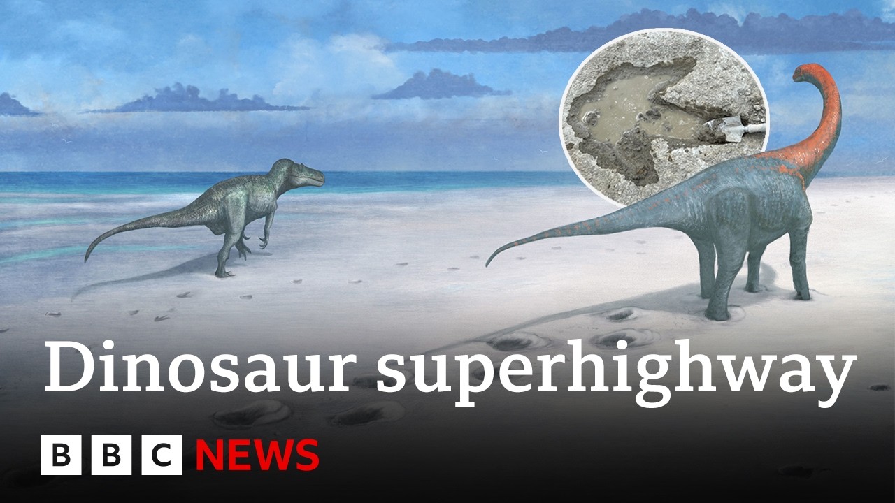 One of the world’s longest dinosaur trackways uncovered in UK | BBC News