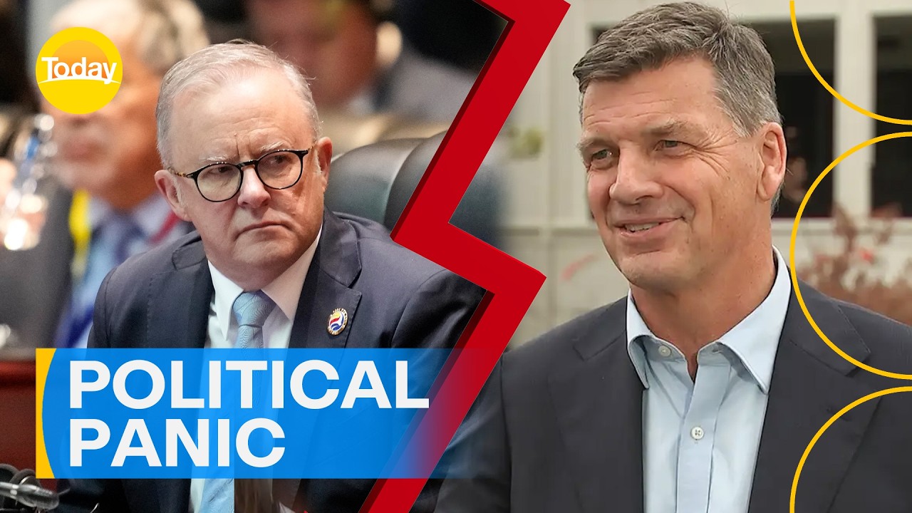 Labor losing control: The voter revolt shaking Australia's major parties | Today Show Australia