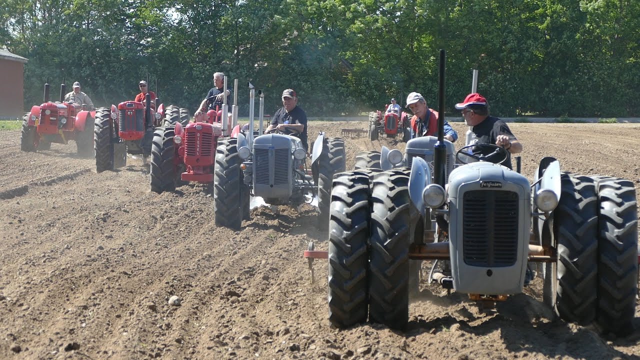 Special Builded Tandem Tractors | Ferguson FE35, TEA20, Bukh, Massey Ferguson 65 & More | DK Agri