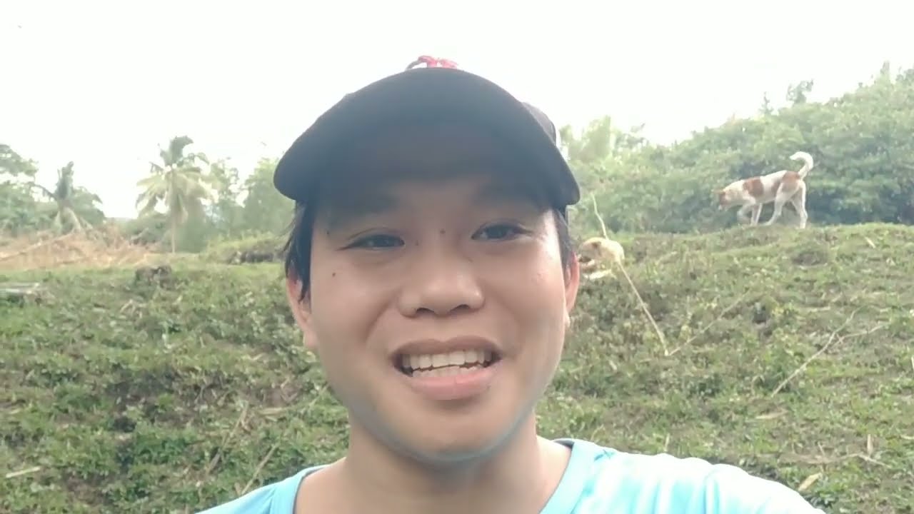 BUHAY PROBINSYA CASTRATION OF PIGLETS🐖🐷#agriculture #farming #business #farming #buhayprobinsya