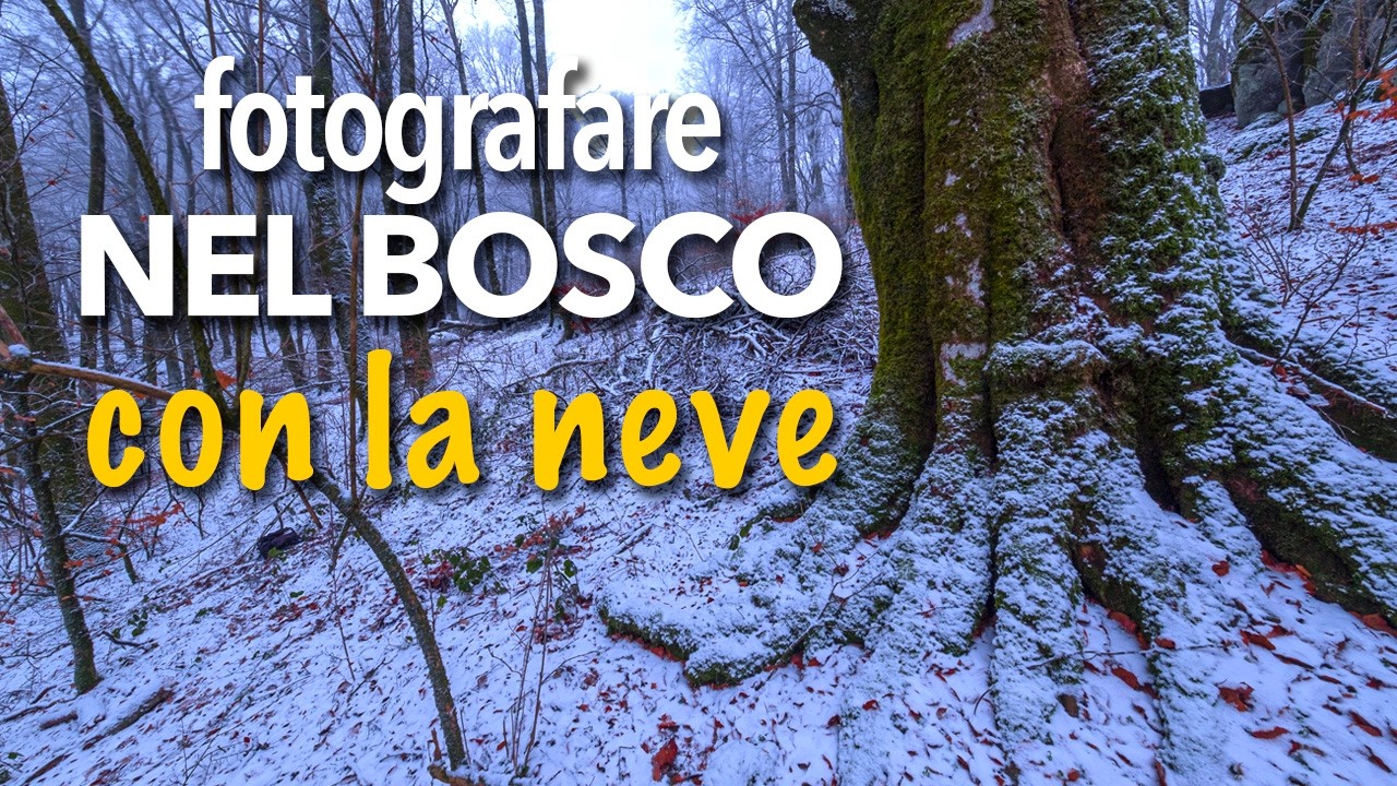 FOTOGRAFRE NEL BOSCO, la prima Neve,